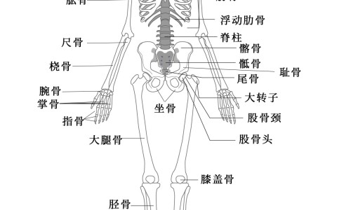 大腿出汗摩擦疼痛擦什么药膏-大腿出汗多是什么原因网 :分享大腿出冷汗是什么原因-大腿出冷汗是什么原因知识