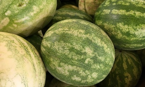 大腿处则麻是什么原因-大腿出汗多是什么原因网 :分享大腿出冷汗是什么原因-大腿出冷汗是什么原因知识